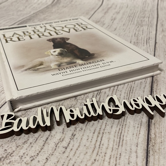 *The Labrador Retriever by Diane Morgan Dog Instructional Educational Book - Picture 2 of 6